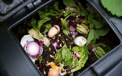 Tri des déchets alimentaires : la nouvelle obligation des particuliers