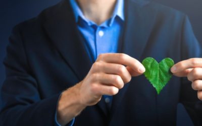Achat/location de véhicules peu polluants : le point sur le « bonus écologique »