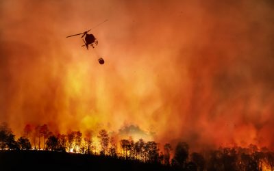 Feux de forêt en Gironde : aménagements exceptionnels pour le secteur du transport