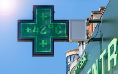 Fortes chaleurs : comment conserver les médicaments vétérinaires ?