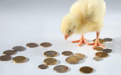 Animaux abattus = agriculteurs indemnisés !