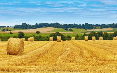 Secteur agricole et « Pec résilience » : un délai supplémentaire