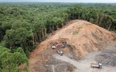 Vers des produits interdits d’importation pour lutter contre la déforestation ?