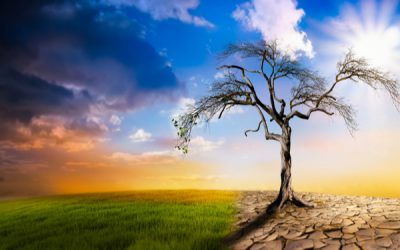 Réseaux d’énergie et de communication : la résilience à l’épreuve des risques naturels