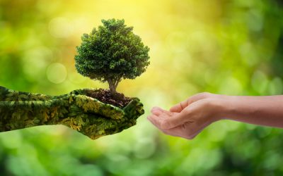 Plan sobriété énergétique : à établir en septembre 2022 !