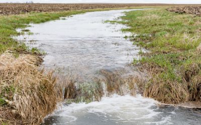Création d’un nouveau droit de préemption pour préserver les ressources en eau