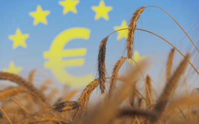 Aides pour les agriculteurs : les montants pour 2022 sont connus