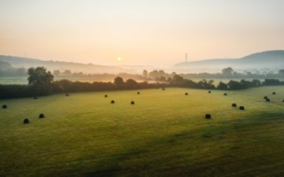 Résiliation du bail rural : attention au formalisme !