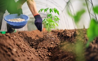 Produits fertilisants : un secteur sous contrôle