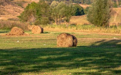 Agrandissement d’exploitations agricoles : quand la procédure est suspendue…