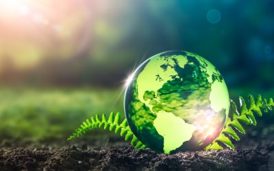 Renforcement des exigences pour la certification environnementale