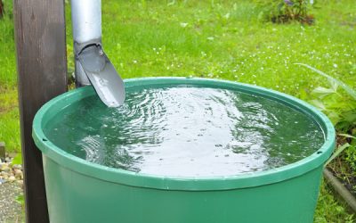 Lutte contre la sécheresse : des récupérateurs d’eau de pluie payés par MaPrimeRénov ?