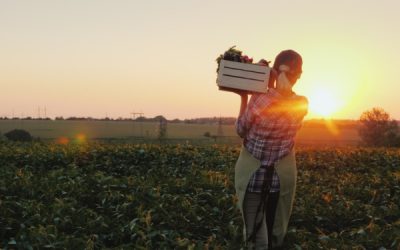 Agriculteurs : des évolutions juridiques à connaître