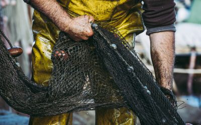 Pêcheurs : une réglementation qui se renforce…