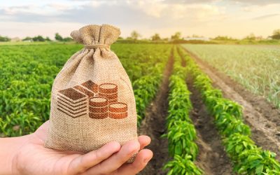 Dirigeants agricoles : une nouvelle déclaration de revenus ?