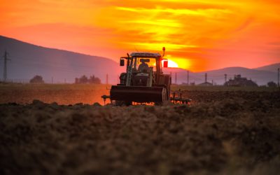 Politique agricole commune (PAC) : des précisions pour l’outre-mer