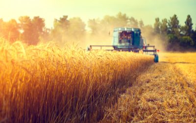Exonération de charges dans le secteur agricole : 3 ans de plus !