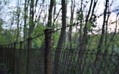 Espaces naturels et clôtures : de nouvelles mesures à connaître !