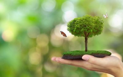 RSE : des nouveautés à venir !