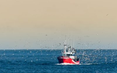 Pêche en Méditerranée : publication des quotas d’effort de pêche pour 2023