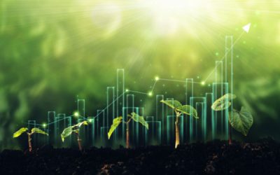 Environnement : votre entreprise est-elle « vertueuse » ?
