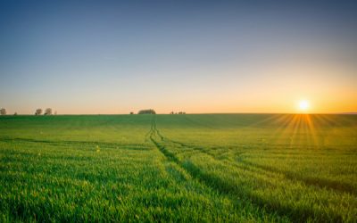 Zones agricoles : sont-elles réservées aux activités agricoles ?