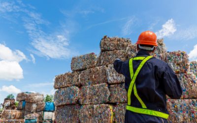 Emballages de produits de restauration : une nouvelle filière REP
