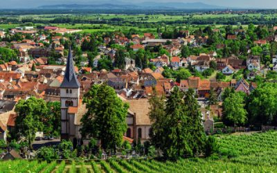 Commerces de proximité : à la reconquête des communes !