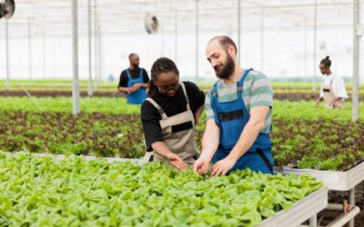 Loi Egalim 3 : de nouvelles évolutions en faveur des agriculteurs