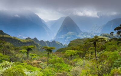Sensibilisation des travailleurs aux risques naturels majeurs en outre-mer : une nouvelle formation