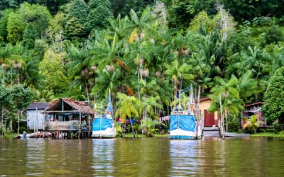 Guyane : un accord pour relancer la filière pêche