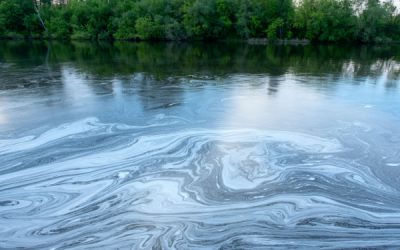 Préjudice écologique : réparation en nature et/ou indemnité ?