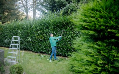Pièces détachées et pièces de rechange : du neuf… et du moins neuf !