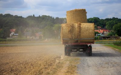 Bail rural et indemnité d’amélioration en fin de contrat : des précisions du juge