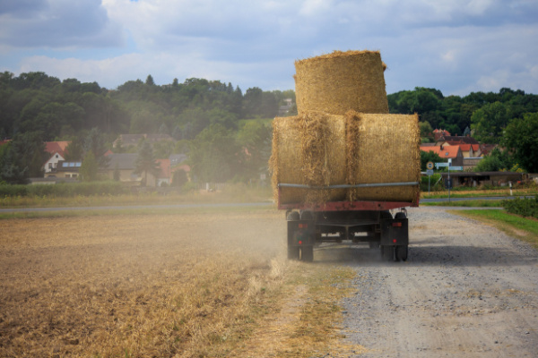 bailrural-1