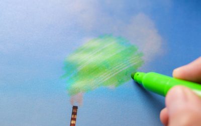 Écoblanchiment : enquête sur une pratique répandue