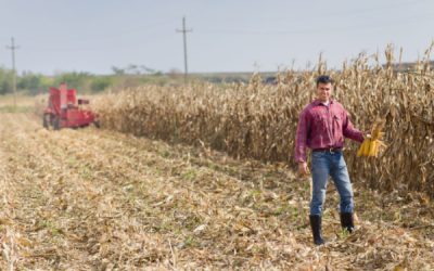 Installation d’un agriculteur : l’âge (ne) fait (pas) tout ?