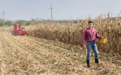 Installation d’un agriculteur : l’âge (ne) fait (pas) tout ?