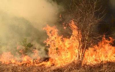 Prévention et lutte contre les incendies : renforcement de la réglementation