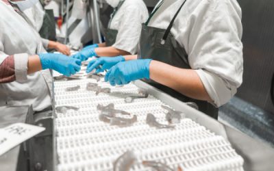 Secteur maritime : des structures professionnelles moins contrôlées ?