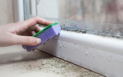 Le Gouvernement harmonise les règles d’hygiène et de salubrité