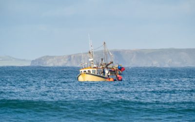 Pêche dans les eaux du Royaume-Uni : du nouveau concernant les licences d’accès !