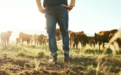 Agriculture : un début d’année 2024 dense