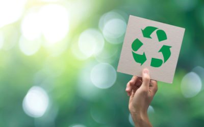 Responsabilité élargie du producteur (REP) : des précisions à connaître !