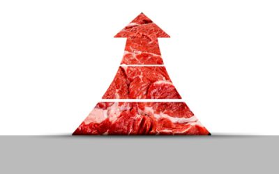 Prix de la viande : hausse en vue ?