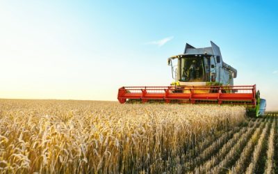 Métiers en tension : l’ajout (attendu) des métiers agricoles