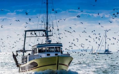 Création d’une aide pour la trésorerie des entreprises de pêche