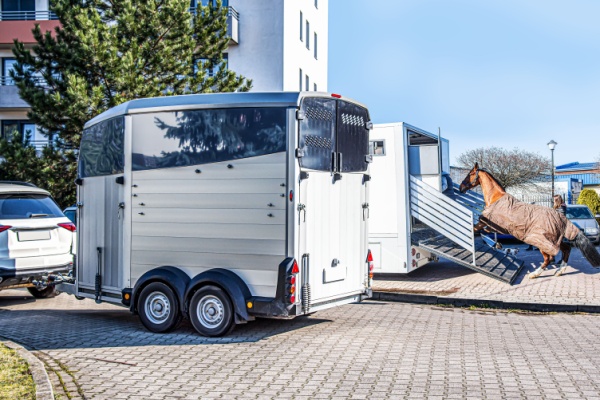 vehiculetransportchevaux
