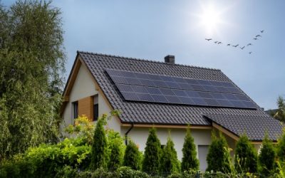 Procédures collectives et poursuites individuelles : ne tombez pas dans le panneau (solaire) !