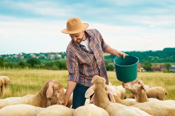 Shutterstock_agricultureaidesfinancieCC80res